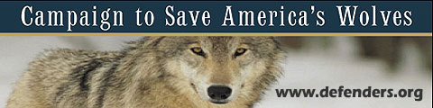 Stop The Slaughter of Alaska's Wolves